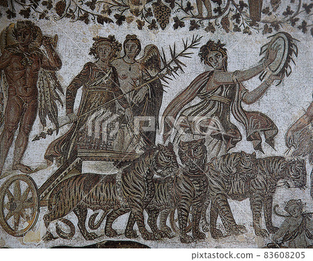 mosaic in Arian Baptistry, Ravenna, Italy mosaic in Arian Baptistry, Ravenna, Italy 83608205