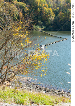 Dam_Lake_Autumn_Autumn leaves Dam_Lake_Autumn_Autumn leaves 83608206