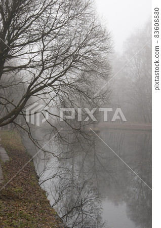 Autumn landscape with fog 83608880