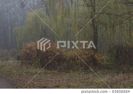 Autumn landscape with fog 83608884