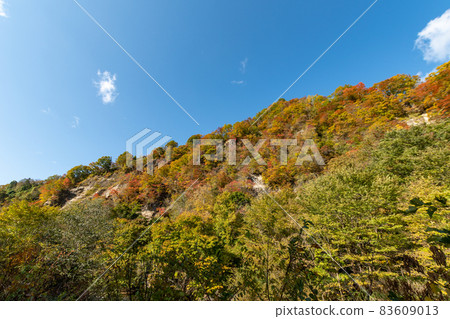 Autumn Mountain_Akiyama_Autumn Leaves_Landscape Photograph_Autumn Autumn Mountain_Akiyama_Autumn Leaves_Landscape Photograph_Autumn 83609013
