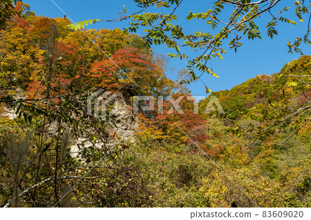 Autumn Mountain_Akiyama_Autumn Leaves_Landscape Photograph_Autumn 83609020