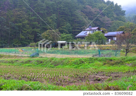 Rural landscape of Tsukin << Hokuto City >> 83609082