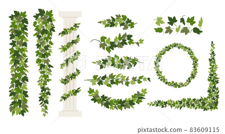 Ivy vines and wreaths, and a greek antique column entwined with ivy, elements isolated on white background. Vector illustration in flat cartoon style 83609115