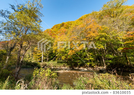 Mountain stream _ autumn _ fishing _ autumn leaves Mountain stream _ autumn _ fishing _ autumn leaves 83610035