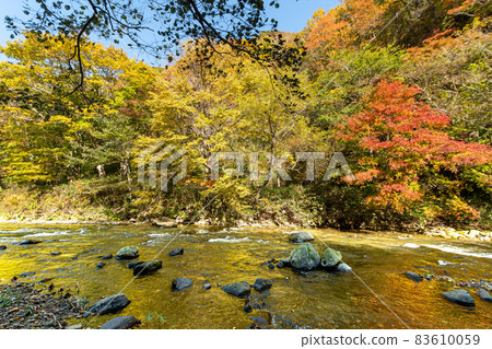 山澗_秋_垂釣_秋葉 山澗_秋_垂釣_秋葉 83610059