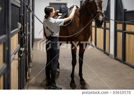 Female horseman puts ammunition on her horse in stable Female horseman puts ammunition on her horse in stable 83610578