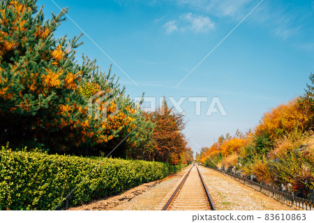 Autumn of Hangdong Railroad in Seoul, Korea 83610863