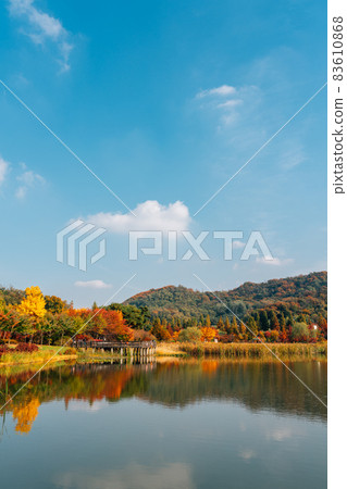 Autumn of Pureun arboretum near Hangdong Railroad in Seoul, Korea Autumn of Pureun arboretum near Hangdong Railroad in Seoul, Korea 83610868