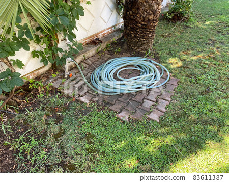 Automatic watering system lawn green grass garden, watering plants, gardening, things to do on self-isolation covid-19 Automatic watering system lawn green grass garden, watering plants, gardening, things to do on self-isolation covid-19 83611387