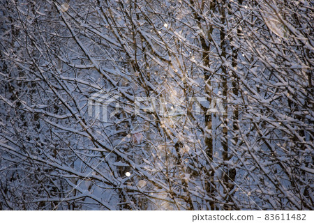 鑽石粉塵的閃光 83611482