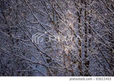 鑽石粉塵的閃光 83611483