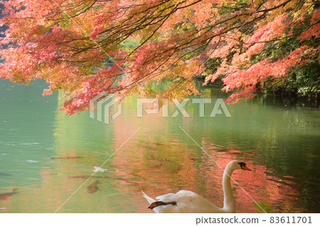 Aya <Lake Minamiinaga> 83611701