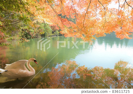 Aya <Lake Minamiinaga> Aya <Lake Minamiinaga> 83611725