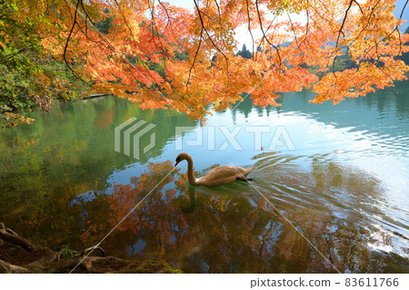 Aya <Lake Minamiinaga> Aya <Lake Minamiinaga> 83611766