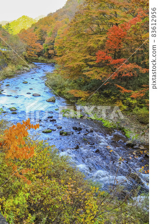 Autumn leaves Akiho Otaki Natori River Futakuchi Valley Autumn leaves Akiho Otaki Natori River Futakuchi Valley 83612956