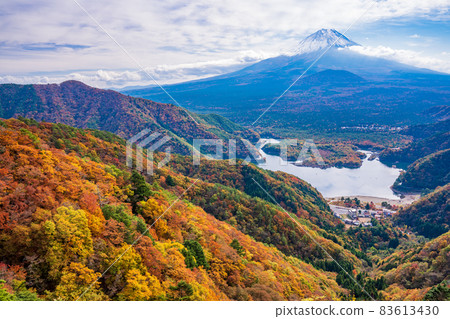 (山梨縣)精通湖和富士山俯瞰精通山口的紅葉 (山梨縣)精通湖和富士山俯瞰精通山口的紅葉 83613430
