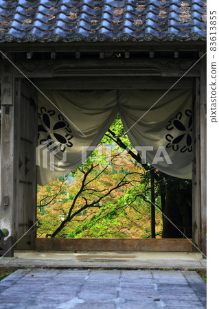 Autumn leaves from Myoshuji Sanmon Autumn leaves from Myoshuji Sanmon 83613855