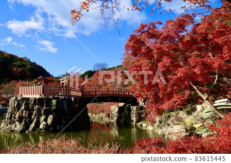 [大阪] 勝雄寺的紅葉 83615445