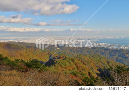 [兵庫]從六甲山看紅葉 83615447