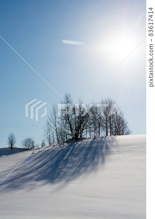 Thickets and blue sky on snowy hills 83617414