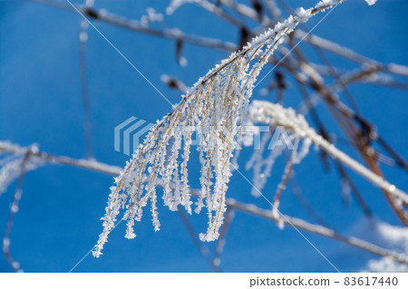 雪和霧冰對冬季壽喜的峰值 83617440