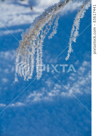 雪和霧冰對冬季壽喜的峰值 83617441