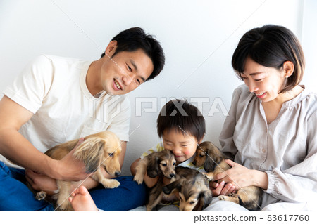 家庭照片寵物狗 Kaninhen Dachshund 83617760