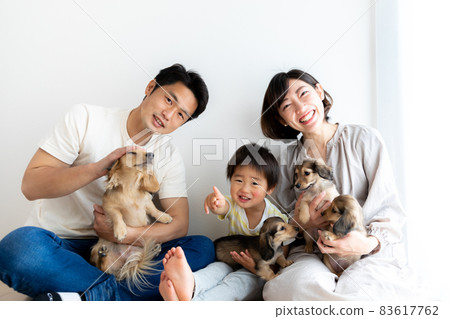 Family photo pet dog Kaninhen Dachshund 83617762