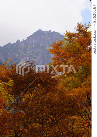 從奧飛驒溫泉鄉鍋平高原看到的紅葉和石城 83620167
