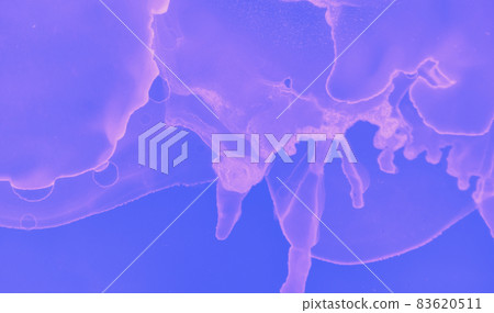 Abstract Fluid Gradient. Pink Futuristic Minimal Abstract Fluid Gradient. Pink Futuristic Minimal 83620511