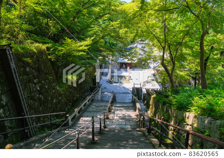 The stairs leading to Otowa Waterfall in the precincts of Kiyomizu-dera, Kyoto City 83620565