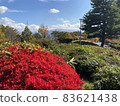 賞秋葉的多彩風景 83621438