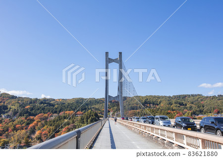Herb Bridge and Chichibu Muse Park Autumn Leaves Herb Bridge and Chichibu Muse Park Autumn Leaves 83621880