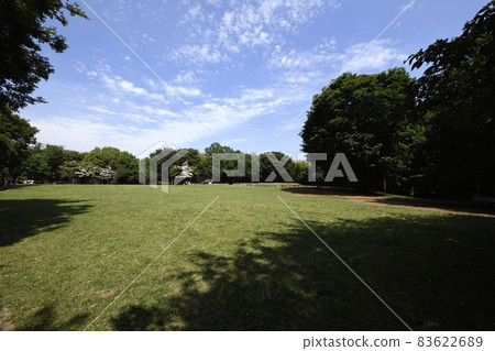 Otsuka · Year old Katsura ruins park Otsuka · Year old Katsura ruins park 83622689