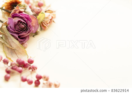 Dried flower flower background material Dried flower flower background material 83622914