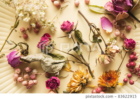 Dried flower flower background material 83622915