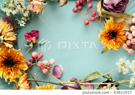 Dried flower flower background material Dried flower flower background material 83622917