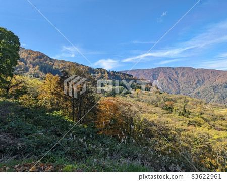 紅葉點綴的樹木和藍天(新潟縣絲魚川市) 紅葉點綴的樹木和藍天(新潟縣絲魚川市) 83622961