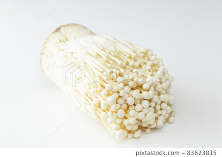 Enoki 只有白色背景 Enoki 只有白色背景 83623815