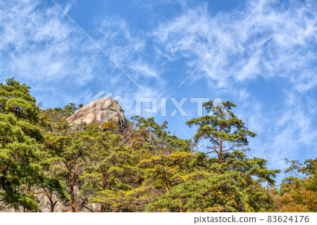 山梨縣秋葉三岳松泉峽Sar 山梨縣秋葉三岳松泉峽Sar 83624176