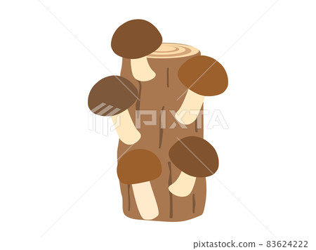 Illustration that imaged the cultivation of log of shiitake mushrooms 83624222