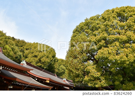 明治神宮主殿 83624260
