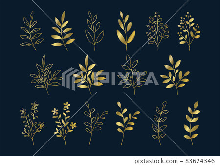 植物線描及剪影黃金插畫素材 植物線描及剪影黃金插畫素材 83624346