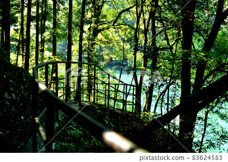 奧多摩溪谷和白丸湖的風景 83624583