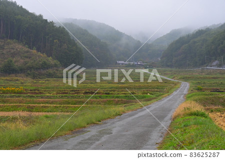 通往山上的梯田農場道路《北斗市》 通往山上的梯田農場道路《北斗市》 83625287