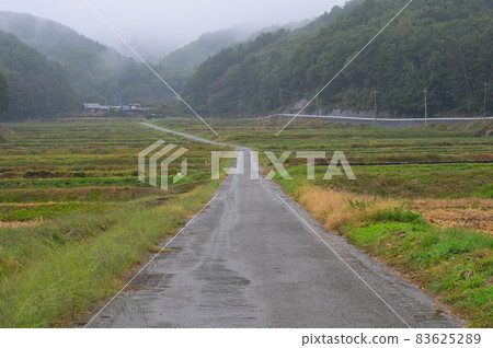 霧濛濛的梯田之路《北斗市》 霧濛濛的梯田之路《北斗市》 83625289