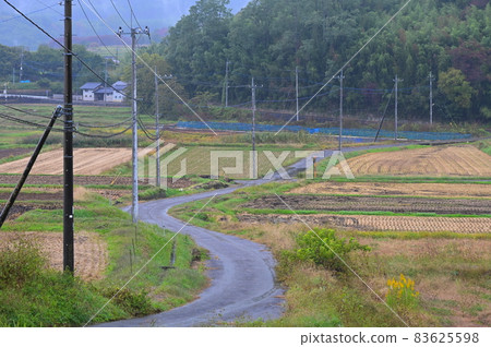 Country road with telephone poles 《Hokuto City》 Country road with telephone poles 《Hokuto City》 83625598