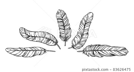 Feathers in boho vintage style. Set of tribal bird feathers isolated in white background. Vector illustration Feathers in boho vintage style. Set of tribal bird feathers isolated in white background. Vector illustration 83626475