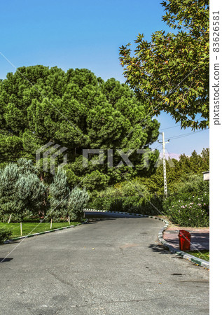 A steep cobbled path shaded by huge conifers in a botanical garden outside Tehran on an autumn day. A steep cobbled path shaded by huge conifers in a botanical garden outside Tehran on an autumn day. 83626581